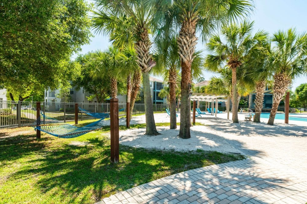 cabana beach gainesville off campus apartments naer university of florida gainesville fl hammock garden
